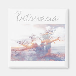 Imã Botsuana Kubu Ilha Baobab Tree Magnet