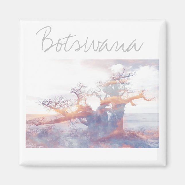 Imã Botsuana Kubu Ilha Baobab Tree Magnet (Frente)