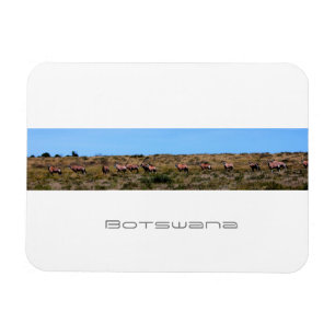 Ímã Botsuana Oryx Animais Savannah Viagem