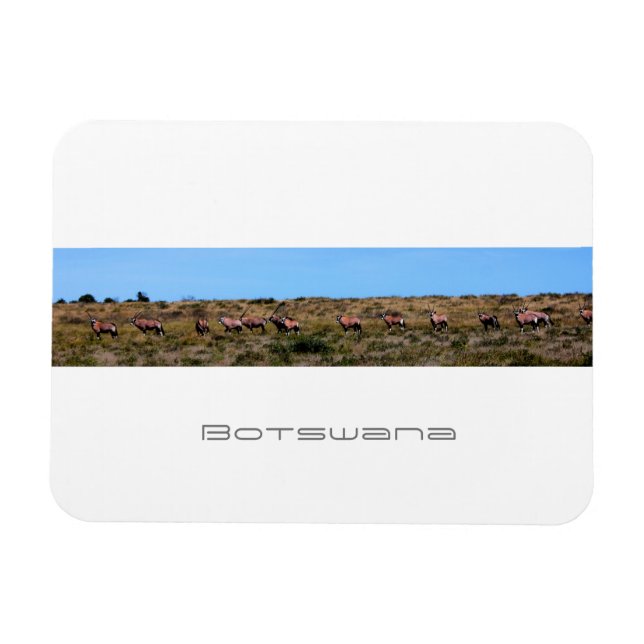 Ímã Botsuana Oryx Animais Savannah Viagem (Horizontal)