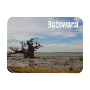 Ímã Botswana Kubu Baobab Ilha Go Travel
