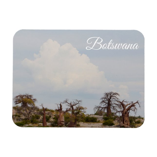 Ímã Botswana Kubu Baobab Ilha Go Travel (Horizontal)
