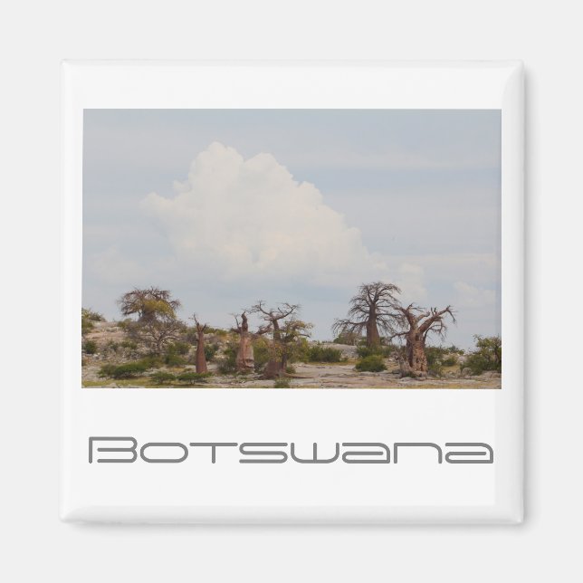 Imã Botswana Kubu Baobab Island Go Viagem (Frente)