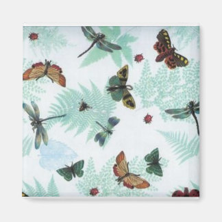 IMÃ BOTTERFLY MAGNET