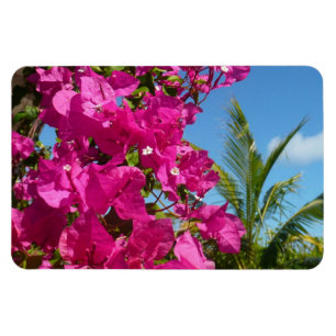 Ímã Bougainvillea e Palm Tree Tropical Nature Cena