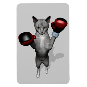Ímã Boxer Cat