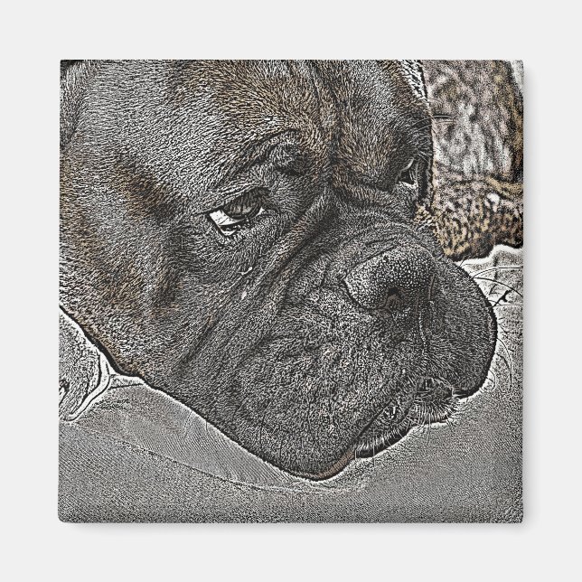 Imã Boxer Dog Magnet (Frente)