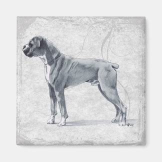 Imã Boxer Dog Stander