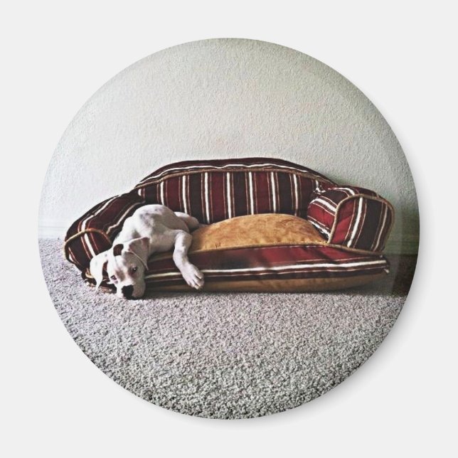 Imã Boxer Doggie Magnet (Frente)