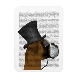 Ímã Boxer, Formal Hound e Hat