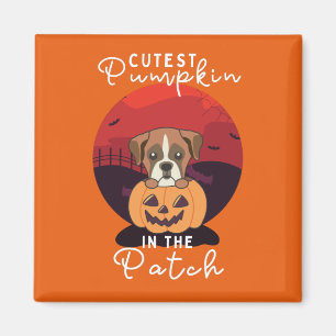 Imã Boxer In Pumpkin Dogs Pumpkin No Patch