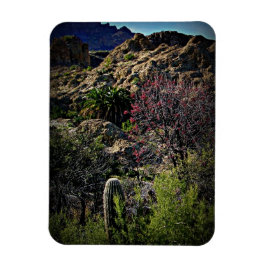 Ímã Boyce Thompson Arboretum