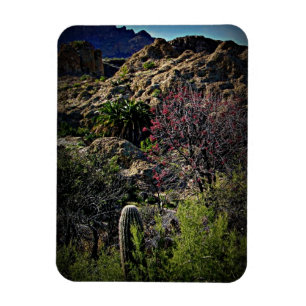 Ímã Boyce Thompson Arboretum