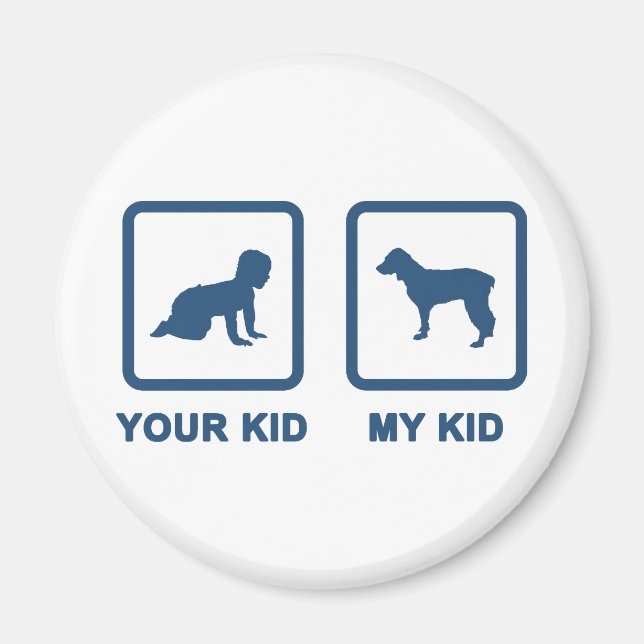 Imã Boykin Spaniel (Frente)