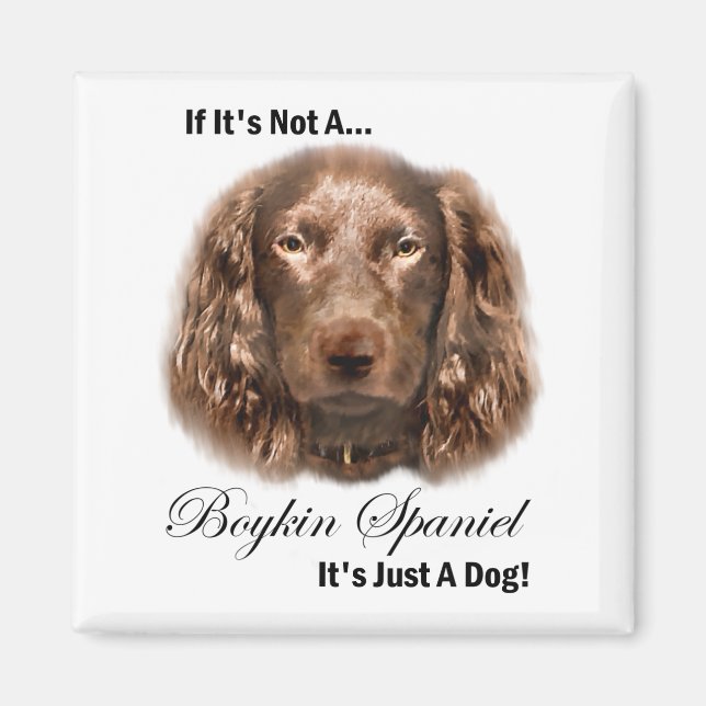 Imã Boykin Spaniel Gifts (Frente)