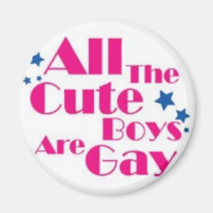 IMÃ BOYS-GAY