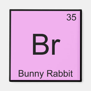 Imã Br - Coelho Bunny Química Divertida Símbolo do Ele