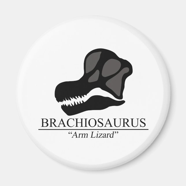 Imã Brachiosaurus Skull (Frente)