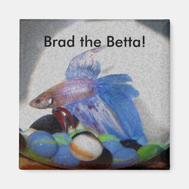 Imã Brad, Betta! (Frente)