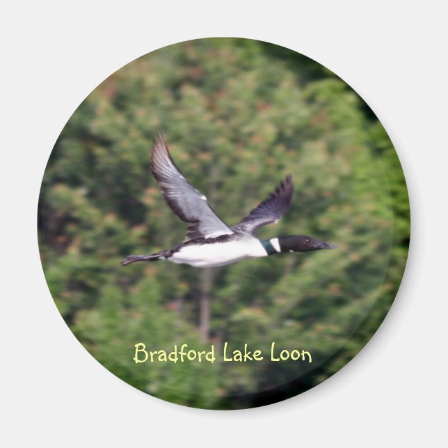 Imã Bradford Lake Loon Magnet (Frente)