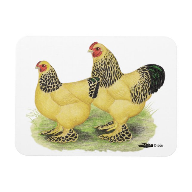 Ímã Brahma Buff Pair (Horizontal)