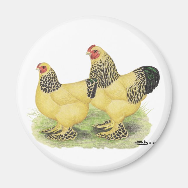Imã Brahma Buff Pair (Frente)