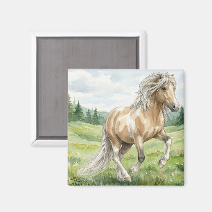 Imã Brana Pinto Palomino Aquarela Islandesa