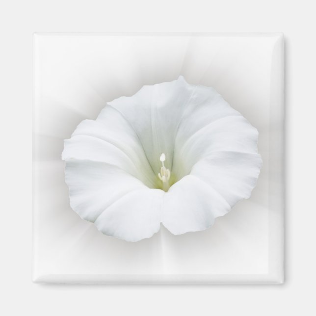 Imã branco e tons de cinza (Frente)