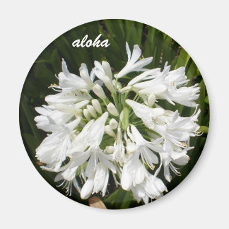 Imã branco floresce aloha
