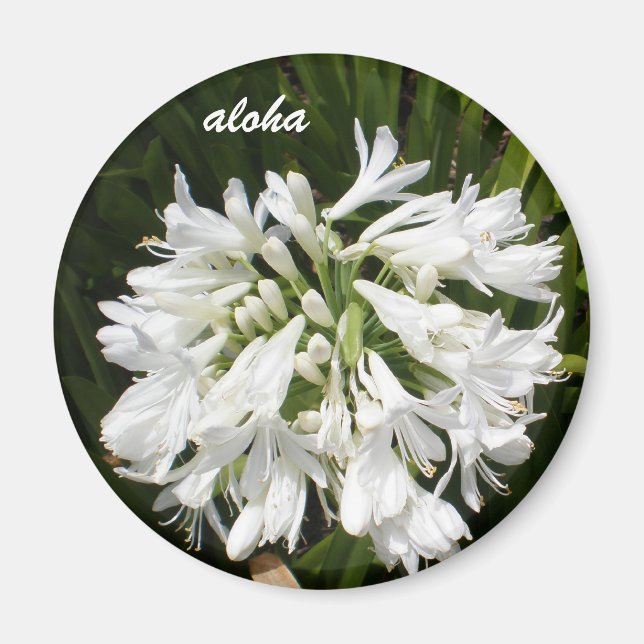 Imã branco floresce aloha (Frente)