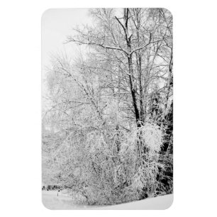 Ímã Brancos de inverno