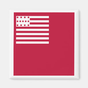 Imã Brandywine flag