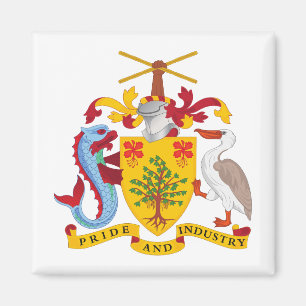 Imã brasão de armas símbolo emblema bandeira do país B