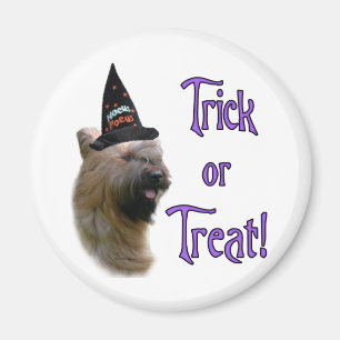 Imã Briard Trick