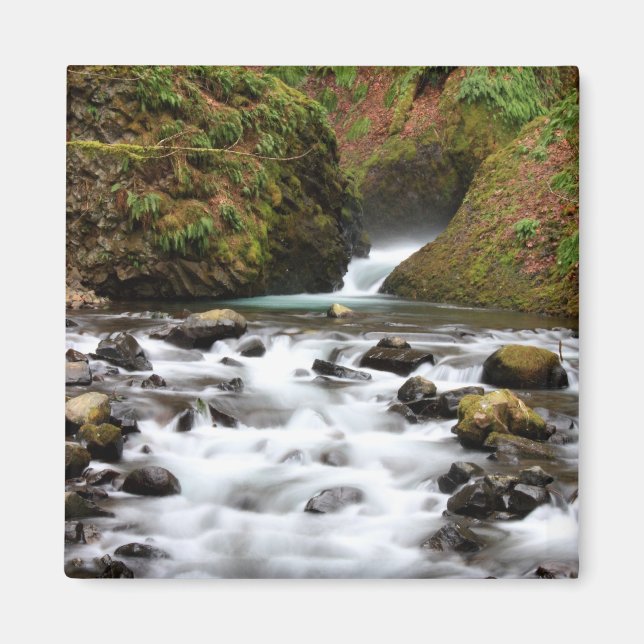 Imã Bridal Veil Coca Magneta Creek (Frente)