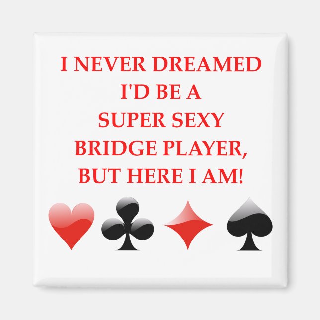 IMÃ BRIFGE (Frente)