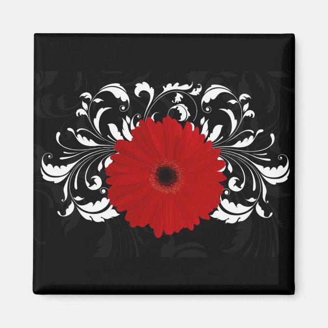 Imã Bright Red Gerbera Daisy em Preto (Frente)