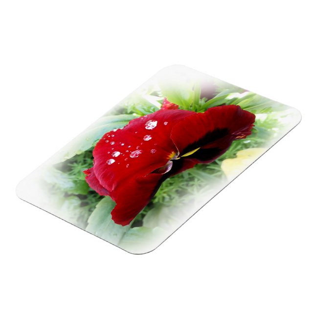 Ímã Bright Red Pansy (Left Side)
