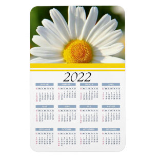 Ímã Bright Shasta Daisy   2022 Íman Calendário Flora