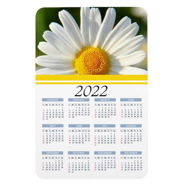 Ímã Bright Shasta Daisy | 2022 Íman Calendário Floral (Vertical)