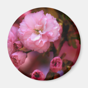 Imã Brilhantes Primavera cor-de-rosa de cereja