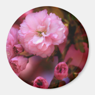 Imã Brilhantes Primavera cor-de-rosa de cereja