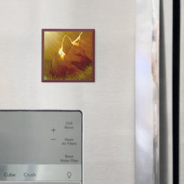 Imã Brilhar no meu German shepherd nº 1