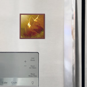 Imã Brilhar no meu German shepherd nº 1