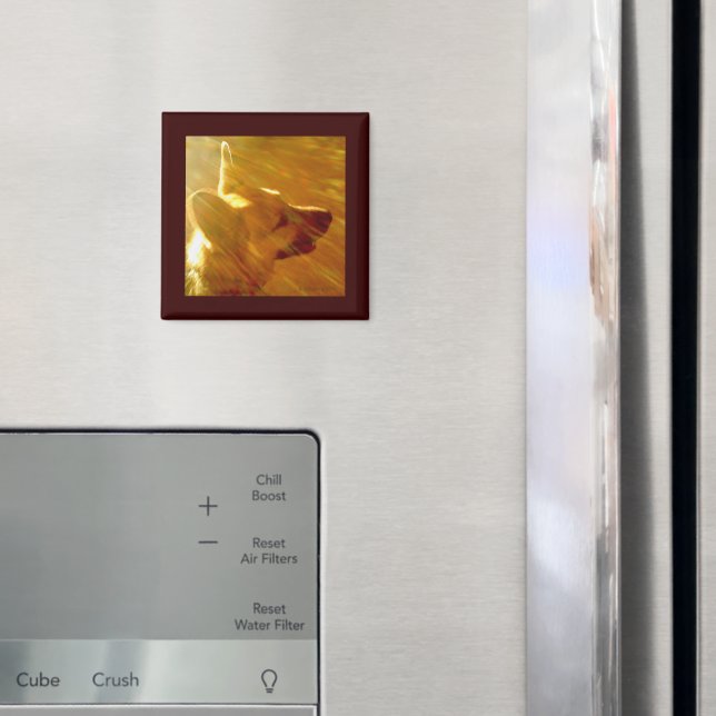 Imã Brilhar no meu German shepherd nº 2 (In Situ (Fridge))