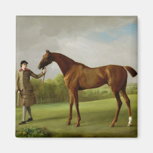 Imã Brilho de George Stubbs  , guardarado por um