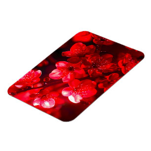 Ímã Brilho do Flor de Cereja