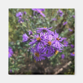 Imã Brilho Roxo do Outono