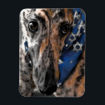 Ímã Brindle Greyhound no seu Holiday Bandana<br><div class="desc">Este ímã é de um desenho que fiz de Tipper,  o galho-verde vestindo sua Estrela de David Bandana</div>