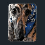 Ímã Brindle Greyhound no seu Holiday Bandana<br><div class="desc">Este ímã é de um desenho que fiz de Tipper,  o galho-verde vestindo sua Estrela de David Bandana</div>